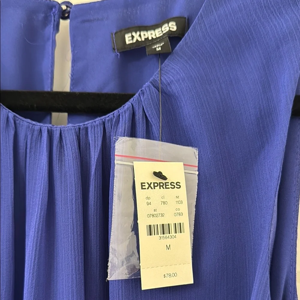 Express Blue Ruched Dress - Picture 2 of 6